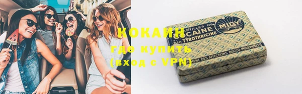 стаф Баксан