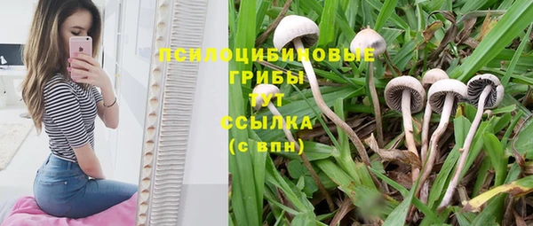 мяу мяу мука Балахна